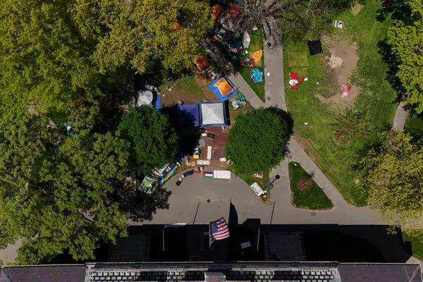 皇冠信用在线申请_"特朗普这是在邀请中国抢走我们的科学家皇冠信用在线申请,太可怕了"