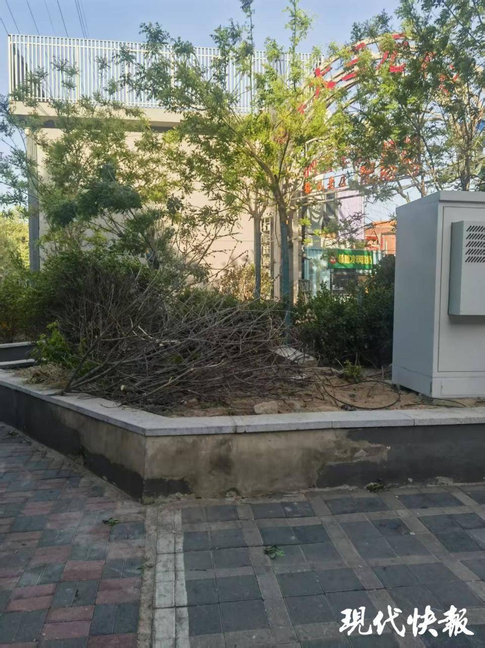 皇冠信用网最新地址_石家庄被家暴女子驾车逃跑致丈夫身亡皇冠信用网最新地址,一审以故意杀人罪获刑11年