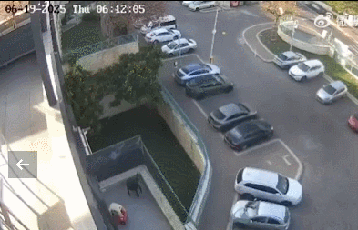 富明尼斯RJ v蔚山_离大谱富明尼斯RJ v蔚山！中国汽车在以色列被伊朗导弹砸中！经过“实战”考验？