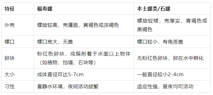 皇冠信用網登1,登2,登3出租_别吃皇冠信用網登1,登2,登3出租,寄生虫多达上千条!武汉公园连夜清出130多斤