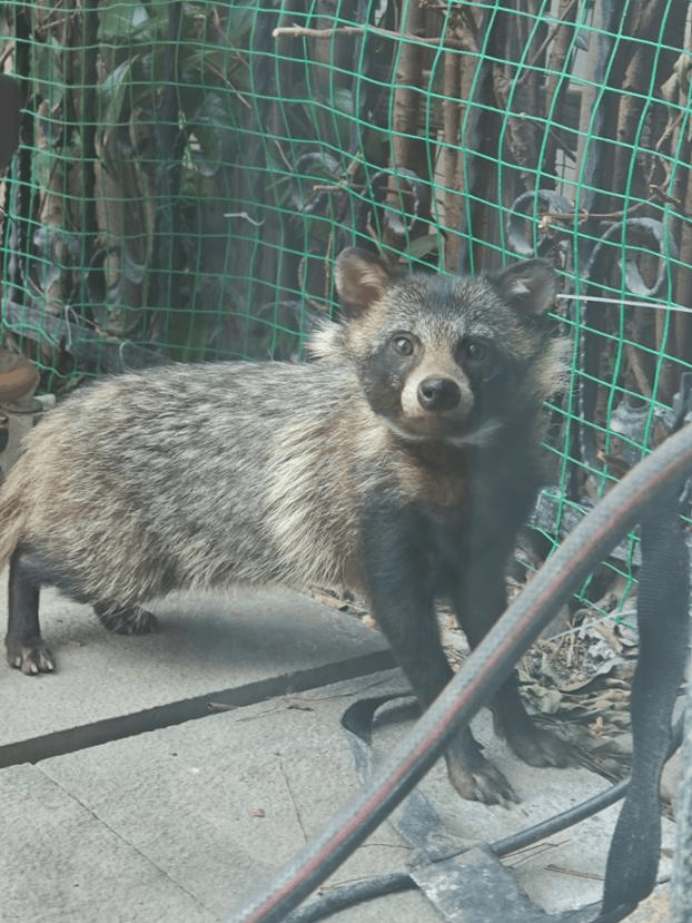 皇冠登一登二登三区别_上海一小区居民苦恼新邻居：突然搬来让人提心吊胆皇冠登一登二登三区别！不能抓不能打