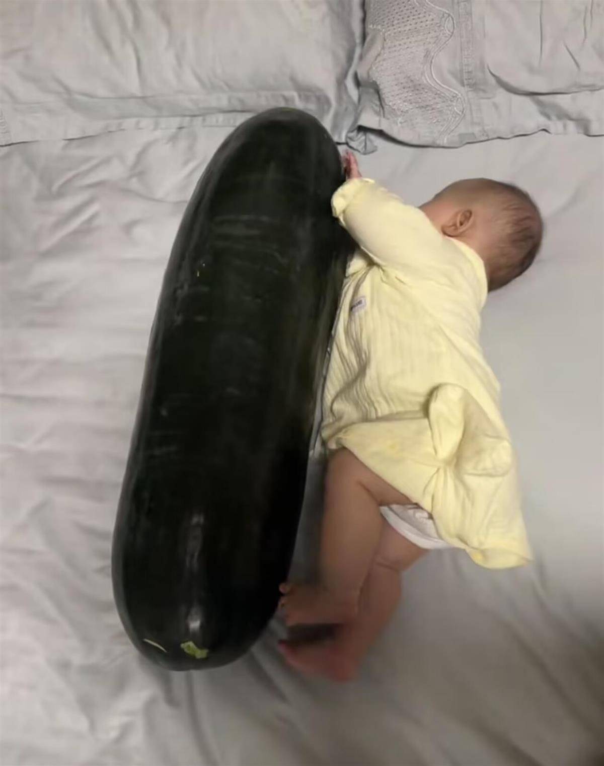 皇冠信用网平台_男子在深圳购买28斤重的冬瓜带回香港皇冠信用网平台,给3个月大的女儿当避暑玩具