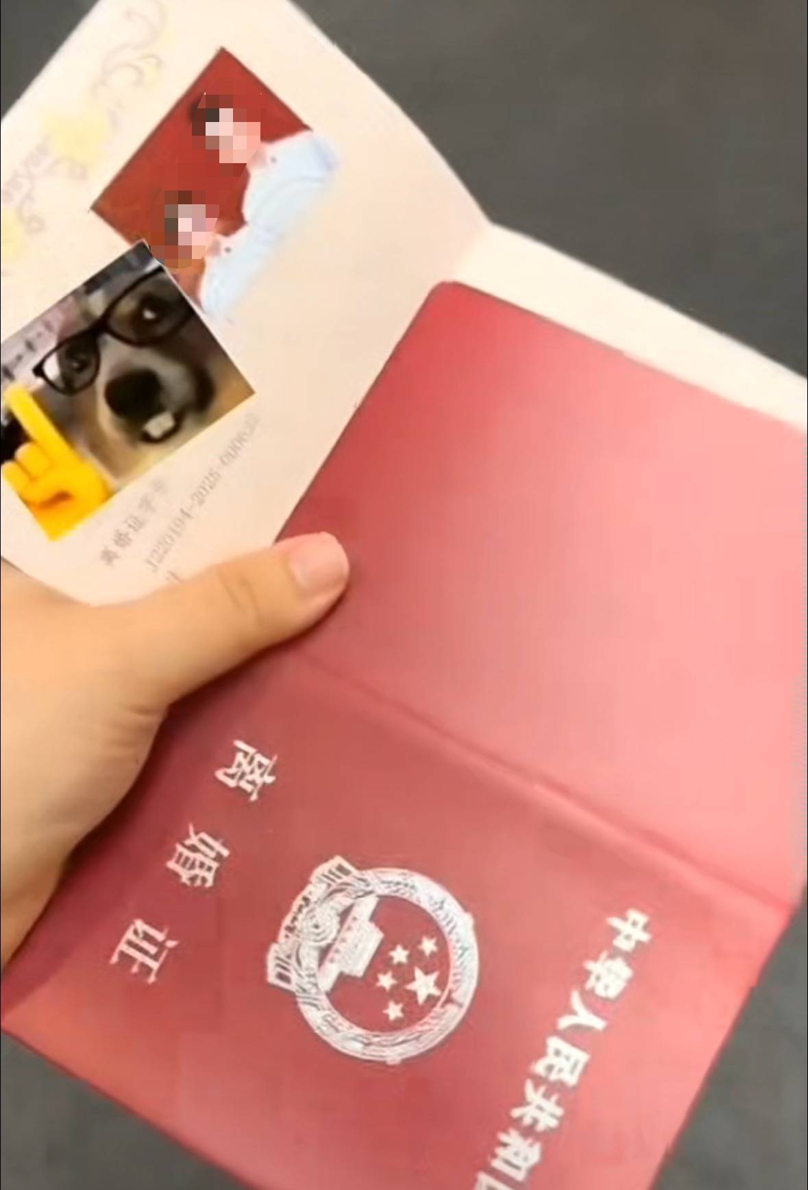 皇冠皇冠代理平台_结婚证发成离婚证!网友调侃“第一次见合照的离婚证”皇冠皇冠代理平台,长春一民政局:发错了,已道歉