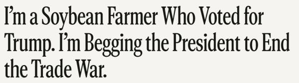 皇冠信用網在线开户
_大豆玉米大丰收皇冠信用網在线开户
,美国农民更欲哭无泪:中国一船都没买…