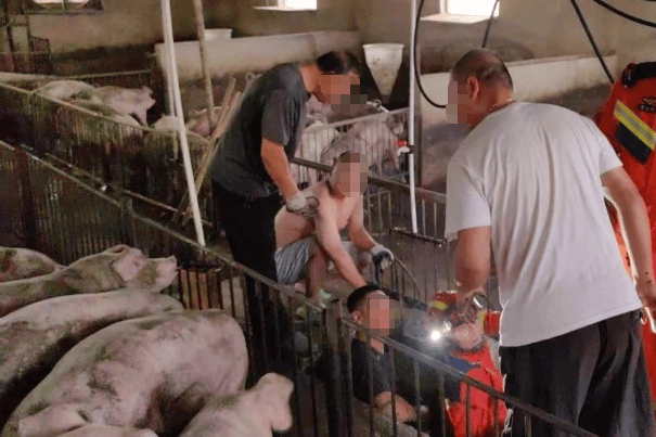 福岛联队vs鹿儿岛联_1人掉入猪舍粪池致3人殒命福岛联队vs鹿儿岛联!经济损失193.9384万元