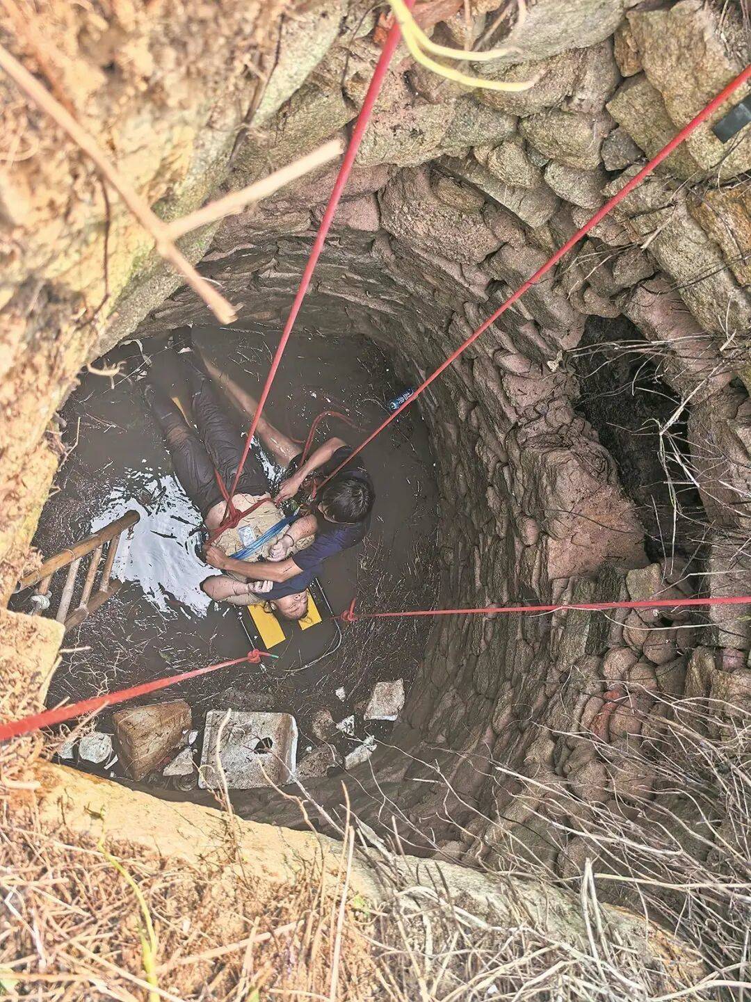 阿根廷职业联赛_泉州坠井女子“54小时噩梦”：几条蛇爬身上阿根廷职业联赛，双侧肋骨骨折！绝望时靠一个信念坚持活下来……