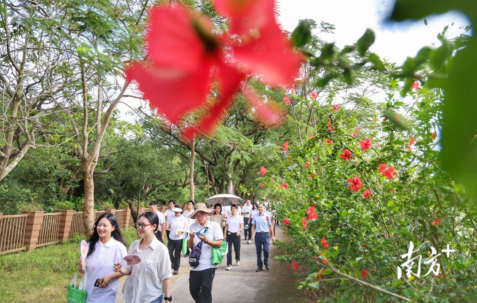 皇冠信用网代理申请
_中山城建集团“连心桥”移交皇冠信用网代理申请
,村企共建绘就桂南新画卷