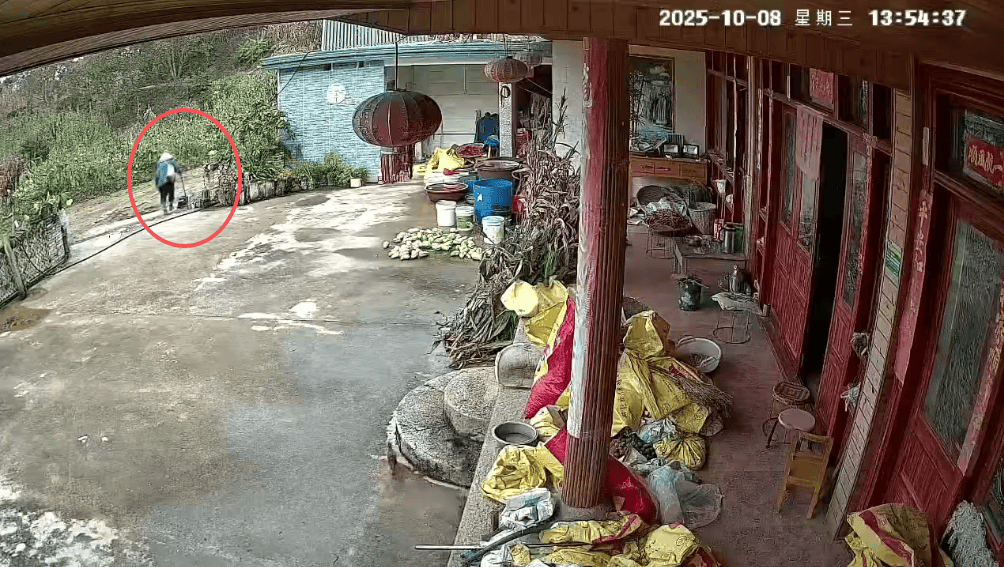 皇冠信用網代理出租
_93岁老人进山失联皇冠信用網代理出租
，两天后发现他倒挂在树杈上苦撑……