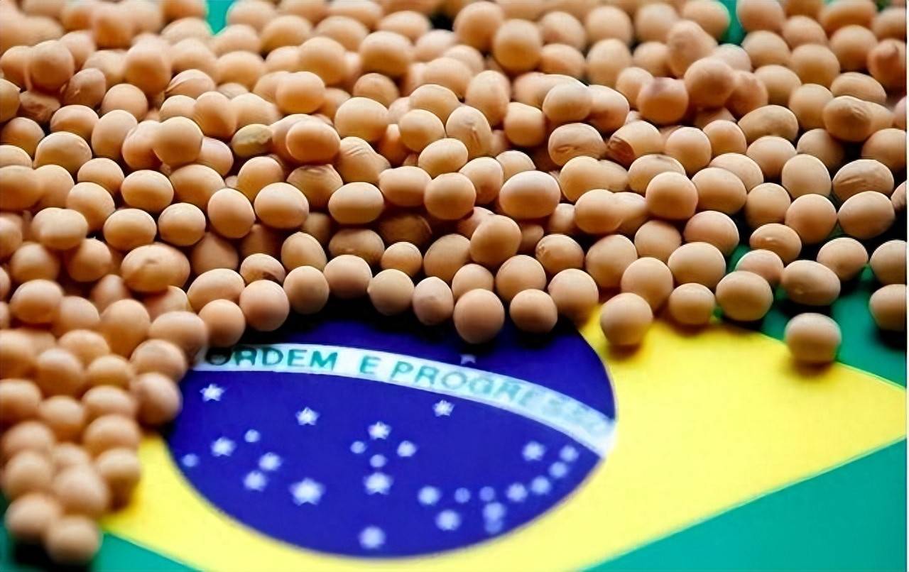 皇冠信用网代理平台
_200万吨大豆烂港！巴西主动降价皇冠信用网代理平台
，中国转头下单三船美国大豆，巴西自食其果了