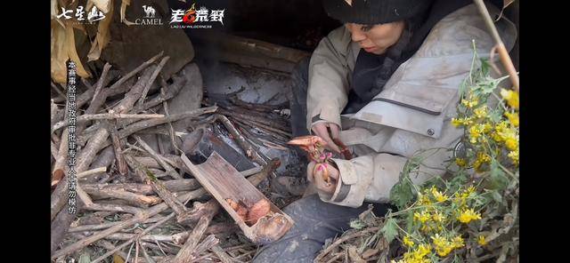 皇冠信用网APP下载
_“冷美人”退赛皇冠信用网APP下载
,错失20万奖金