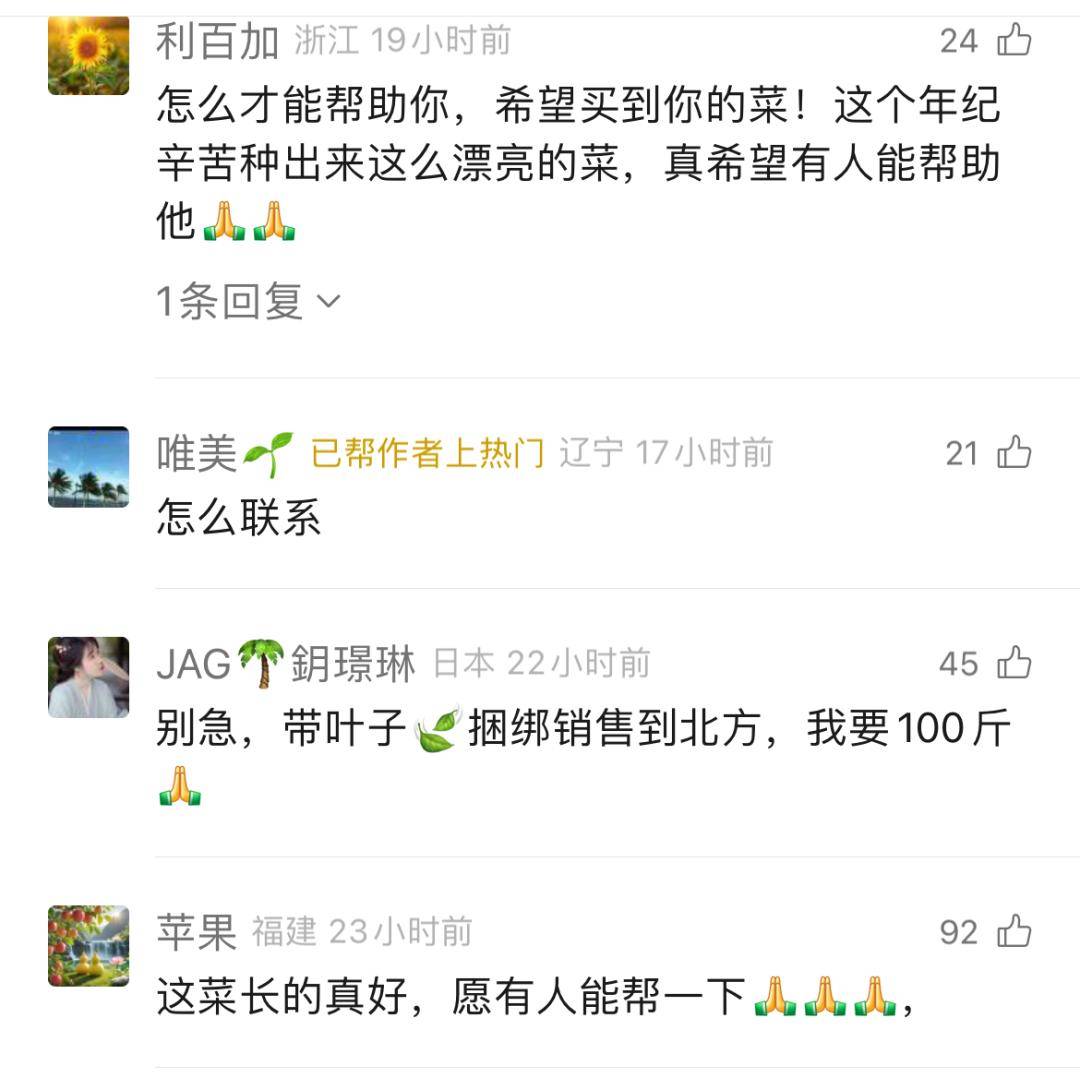 NBA篮球球探_29岁儿子突发心梗离世NBA篮球球探，家里上万斤蔬菜滞销！浙江60岁大伯绝望痛哭，短短一天后……