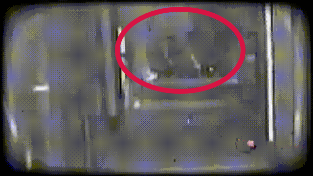 皇冠会员如何申请_离奇凶案!上海一“恋爱脑”宅男绝望皇冠会员如何申请,掐住已婚女友脖子……法院最新判决