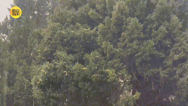 皇冠信用网代理申请_小到中雪皇冠信用网代理申请，局地大雪、暴雪！刚刚，西安发布暴雪预警！