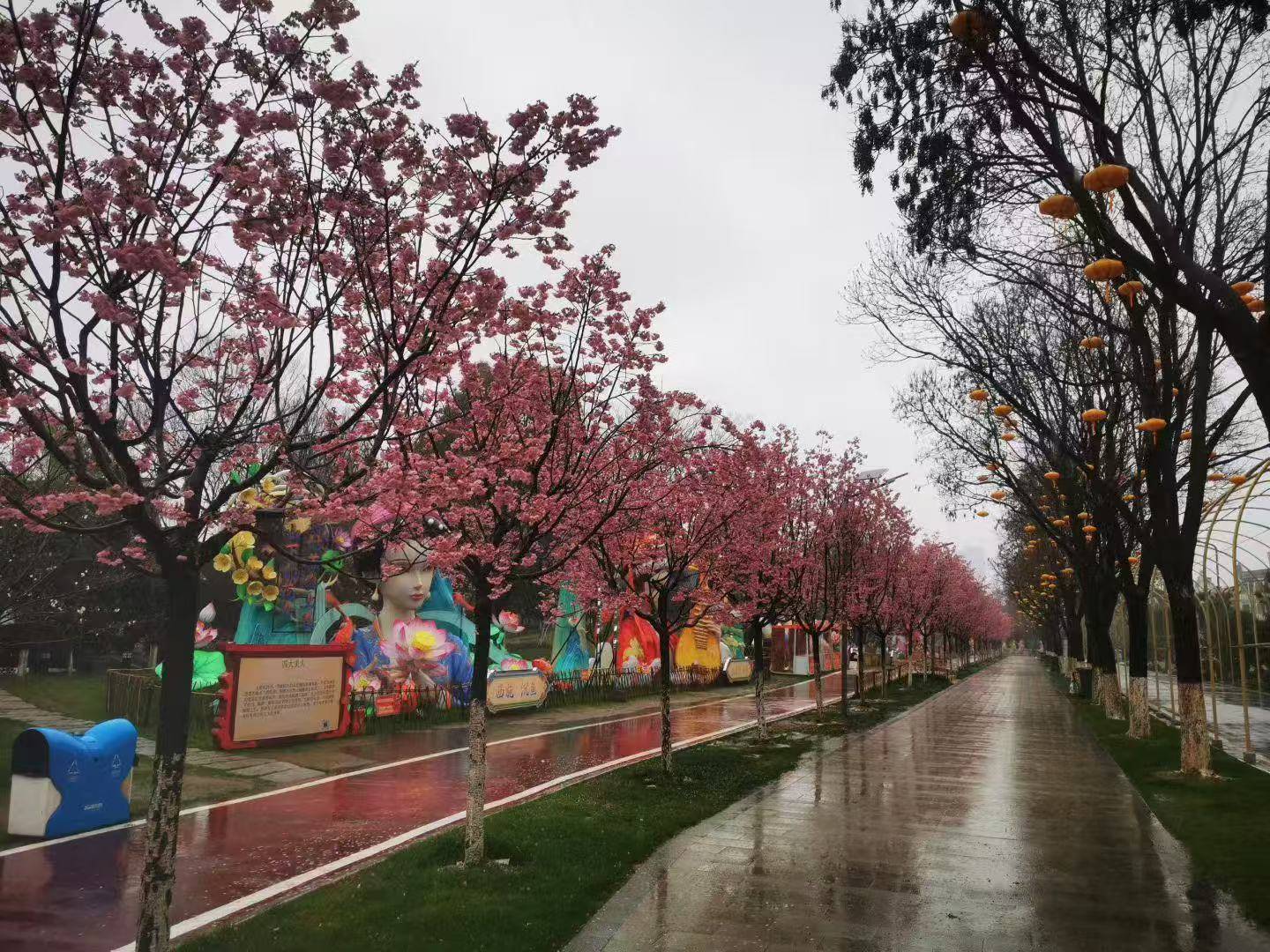 网上买球怎么买
_20℃!湖北大部雨水退场三日网上买球怎么买
,抓紧赏花!下一轮雨已安排