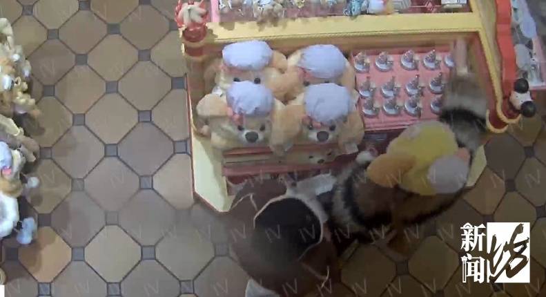 皇冠信用网最新地址_太猖狂!事发上海迪士尼皇冠信用网最新地址,28人全部被抓!