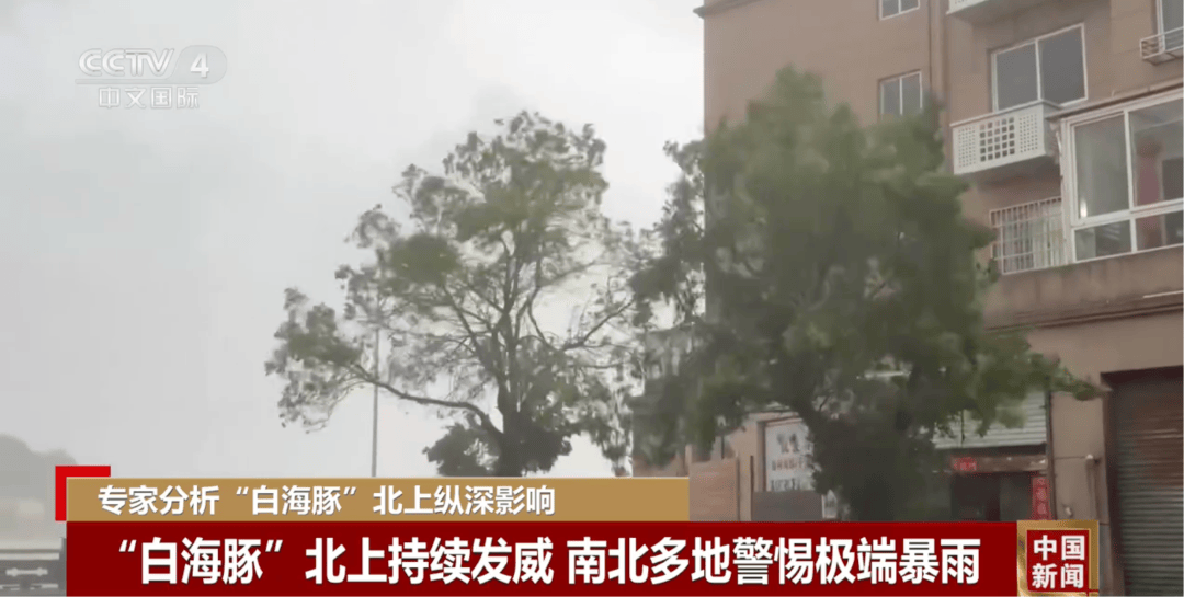 体育皇冠信用网_台风“白海豚”突然大拐弯体育皇冠信用网,走出罕见路线!厦门未来天气……